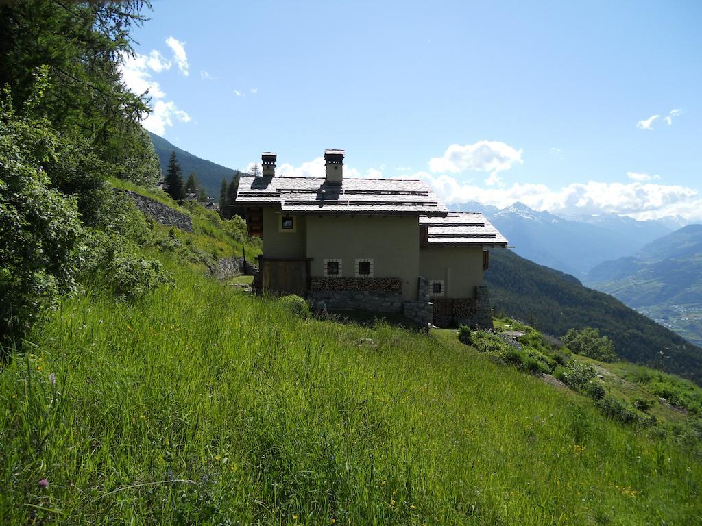 Apartment Petite Cerise Gressan