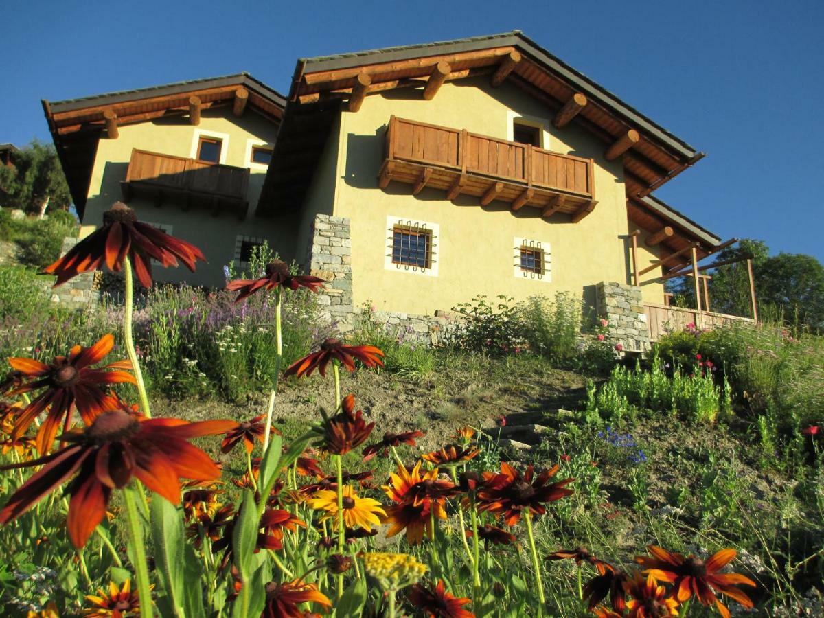 Apartment Petite Cerise *
