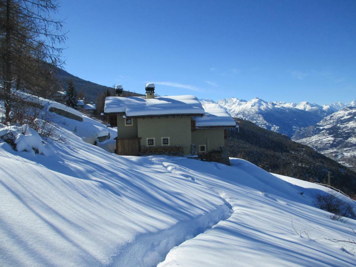 Petite Cerise Apartment *